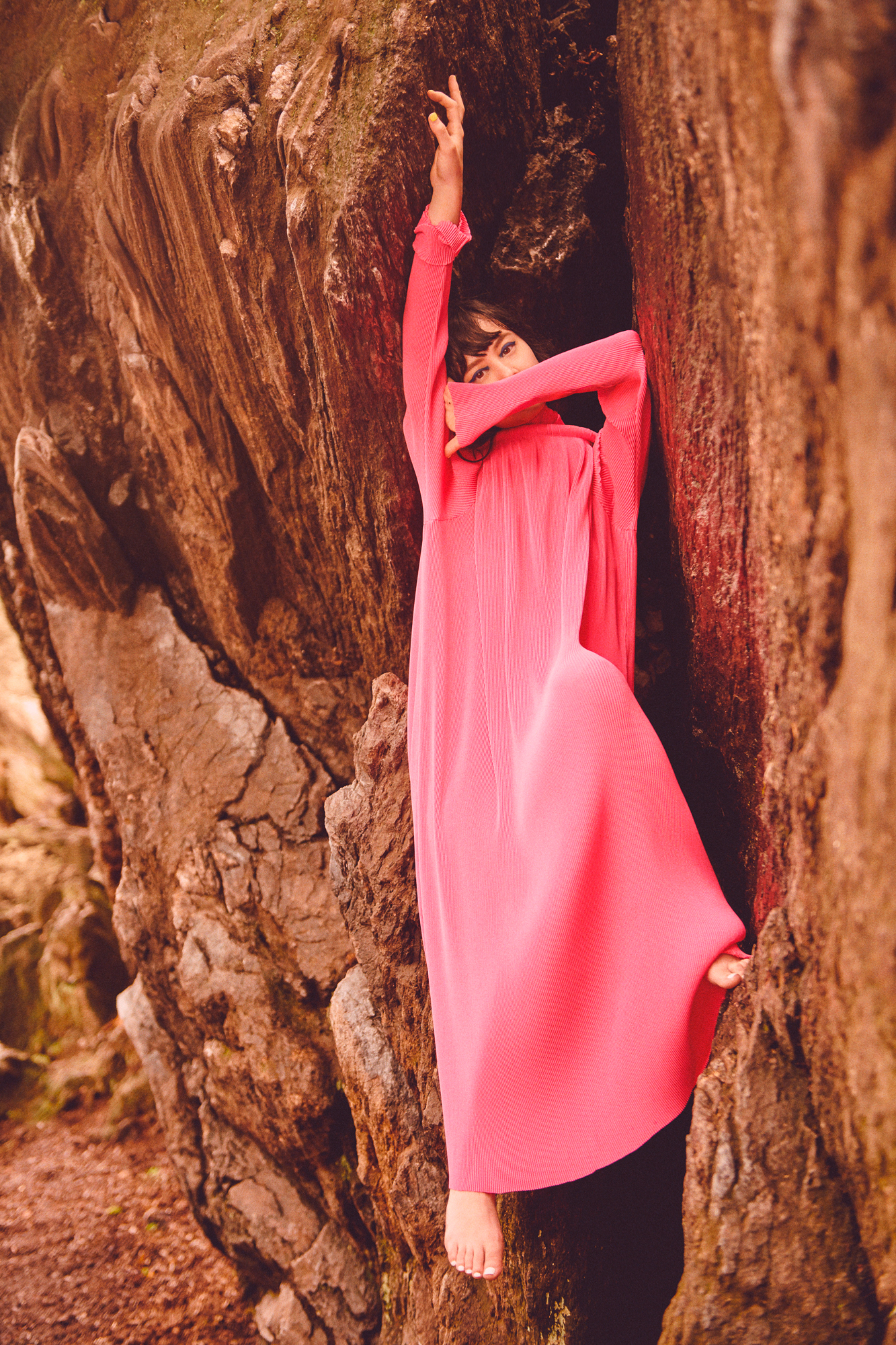 Intro Vertical Image