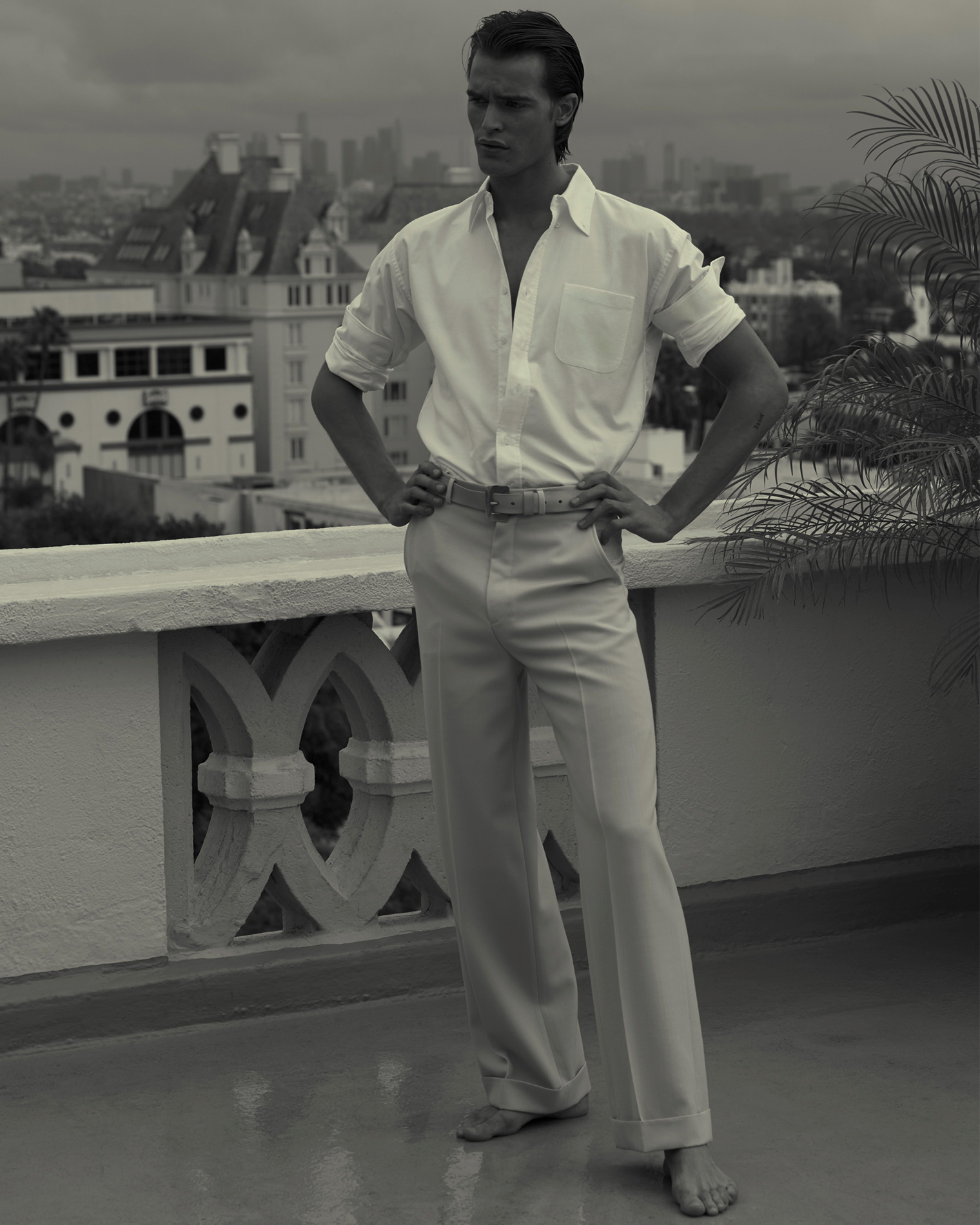 Intro Vertical Image